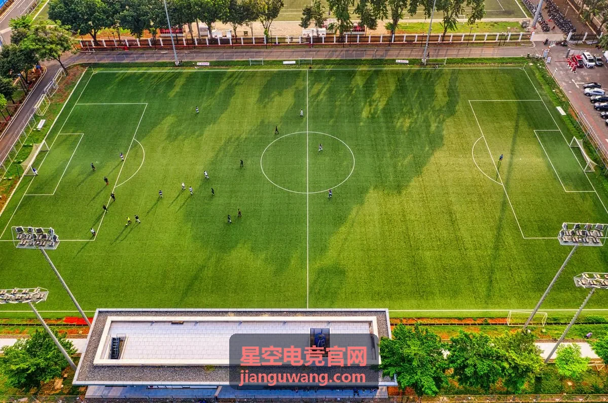 星空电竞官网战队教练 何启